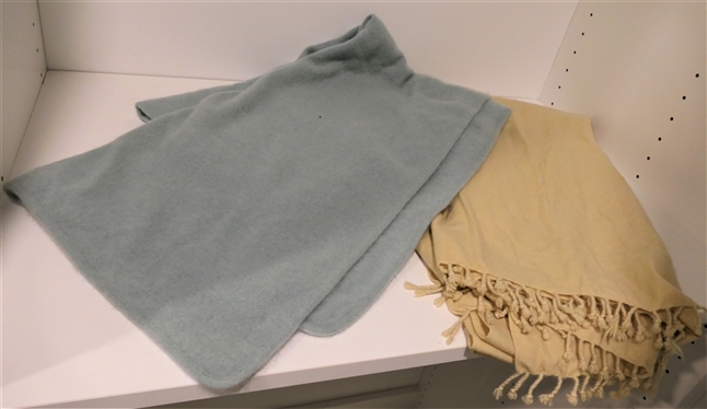 Diane Merrick Mint Green Cashmere Wrap and  Tan Pashmina Scarf