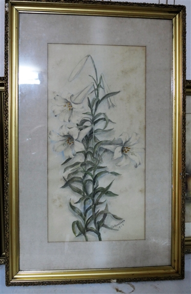 Earline Coxe 1909 - Signed Painting / Drawing of Lily Flower - Framed and matted - Frame Measures 32 1/2" by 21"