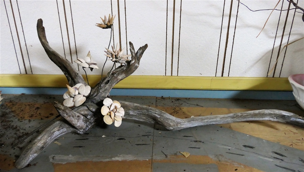Driftwood Branch with Shell Flowers Branch Measures 13" Tall by 31" Long