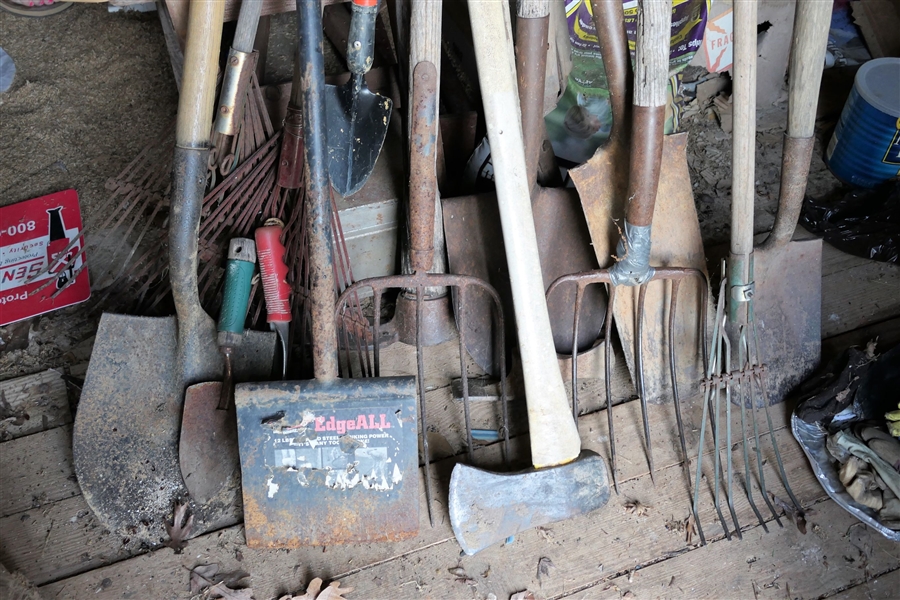 Large Lot of Garden Tools including Axe, Edger, Forks, Shovels of Assorted Sizes, 