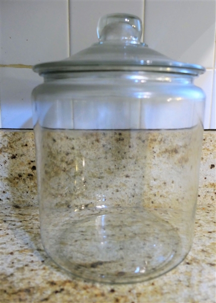 Store Jar with Lid - Measures 9" Tall 