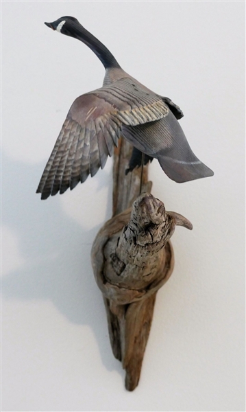 W.B. Knighton Carved Flying Goose on Driftwood Stand - Artist Signed - Bird Measures 7" Beak to tail - Small Chip on Wing