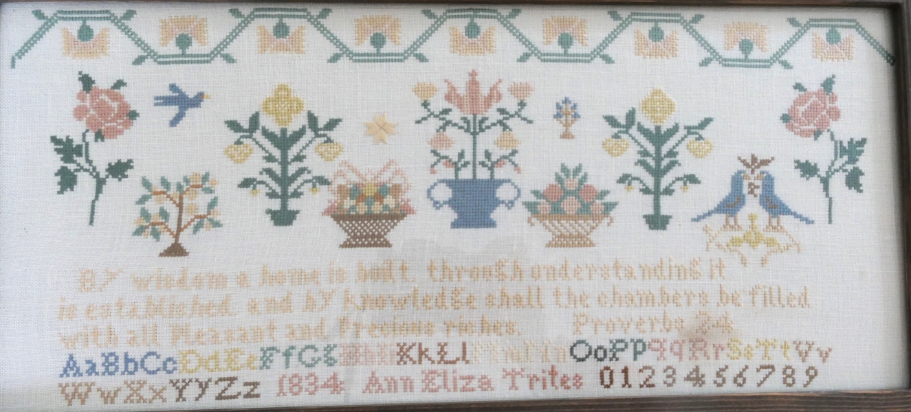 Hand Stitched Needlework Copy of 1834 Sampler by Ann Eliza Trites - Framed - Frame Measures 9" by 18 1/2"