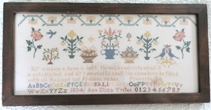 Hand Stitched Needlework Copy of 1834 Sampler by Ann Eliza Trites - Framed - Frame Measures 9 by 18 1/2
