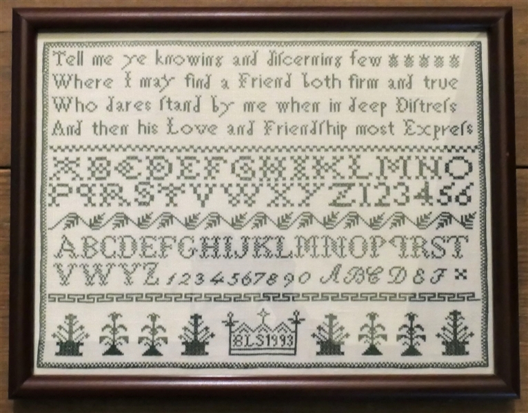 Hand Stitched Needlework Sampler by BLS 1993 - Framed - Frame Measures 13" by 14"