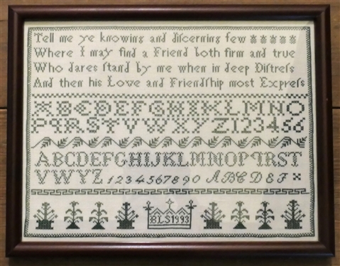 Hand Stitched Needlework Sampler by BLS 1993 - Framed - Frame Measures 13 by 14