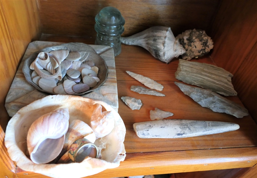 Shelf Lot including Sea Shells, Turtle Shells, Arrow Heads, and Rocks