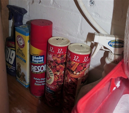 Contents of Cabinet including New Rolls of Paper Towels, Carpet Cleaner, Etc. 