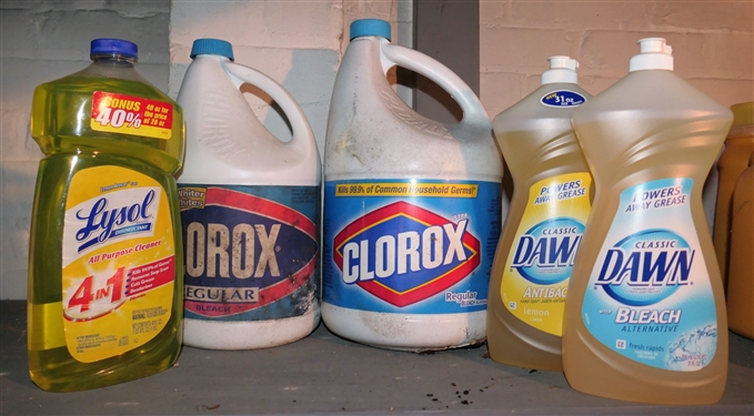 2 Bottles of Clorox, 2 Bottles of Dawn Dish Detergent, 1 Bottle of Lysol - All Large Bottles