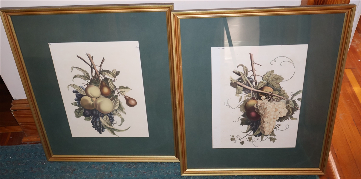 Framed and Matted Fruit Prints