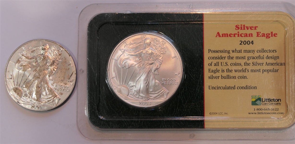 2004 .999 Fine Silver American Eagle Coin in Original Plastic Pack and 2001 Silver American Eagle