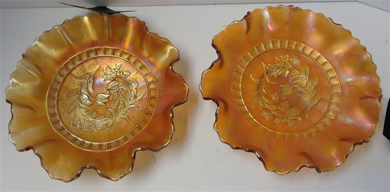 2 Carnival Marigold Wildflower Bowls - Measuring 8 Across