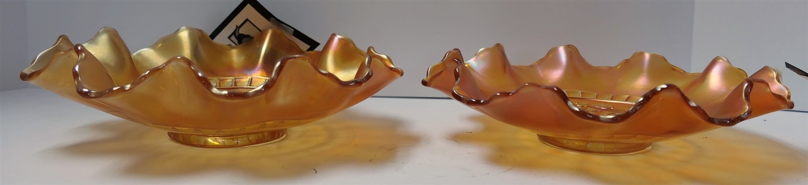 2 Carnival Marigold Wildflower Bowls - Measuring 8 Across