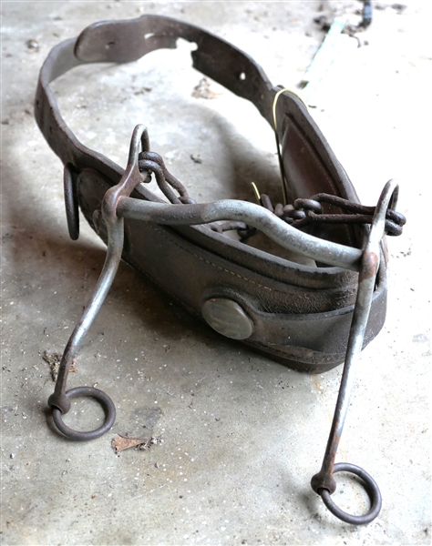 US Calvary Horse Collar and Bit - Collar Measures 