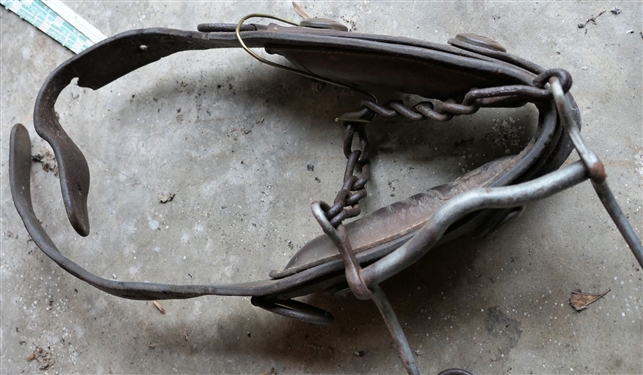 US Calvary Horse Collar and Bit - Collar Measures 