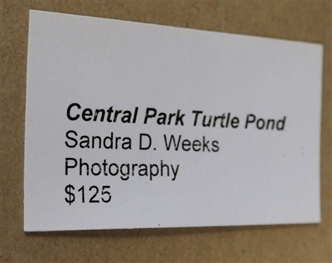 Central Park Turtle Pond Photograph By Sandra D. Weeks - Photographer - Signed - Framed and Double Matted - Frame Measures 23 1/2 by 19 1/2