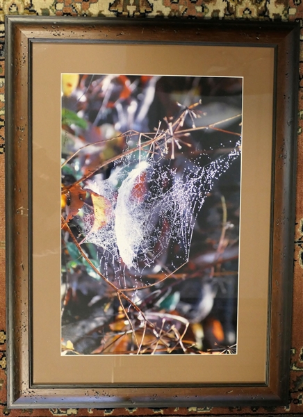 "Pearly Hammock" Photography by Sandra D. Weeks - Framed and Matted - Frame Measures 17 1/2" by 23 1/2" 