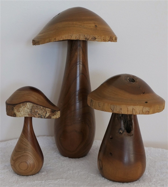 3 Mid Century Hand Carved Mushrooms by Tolga Woodworks Australia  -2 Red Cedar by  Adam Lockyer and 1 smaller Cannon Ball Cedar by David Scrimshaw - Largest Measures 11" Tall Smallest 6"
