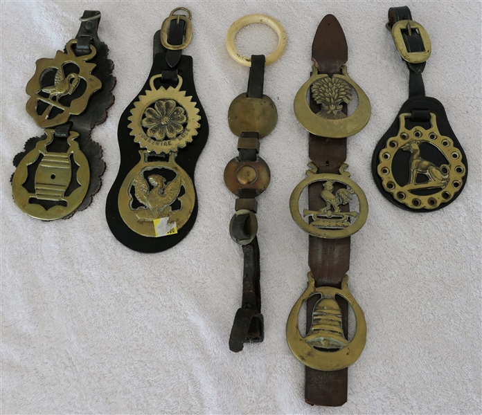Collection of Horse Brasses - 8 Horse Brasses and Other Brass Circle Pieces - All on Leathers - Including Lion, Bell, Wheat, and Flower