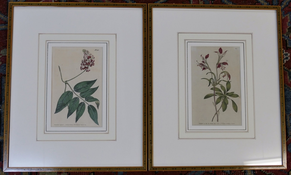 Pair of Beautiful Antique Botanical Prints in Inlaid Wood Frames - Hand Drawn Mats - Frames Measure 16 3/4" by 13 3/4" - Botanical Prints Dated 1790 & 1809
