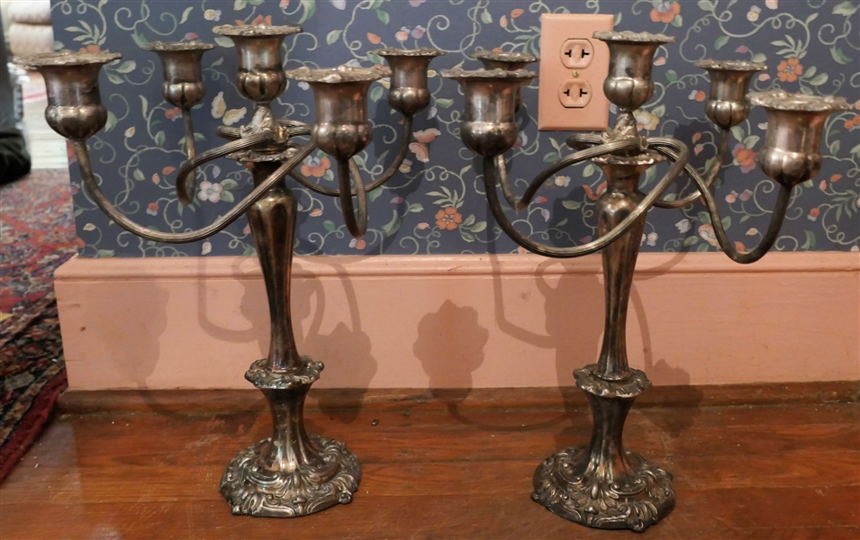 Pair of Heavy Silverplated 5 Light Candelabras - Measuring 16" Tall 14" Across
