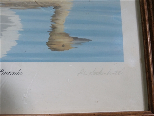 Reflections - Pintails Second Edition Print by R.L. Kothenbeutel Pencil Signed - No. 12695 - Framed - Frame Measures 12 by 13 1/2