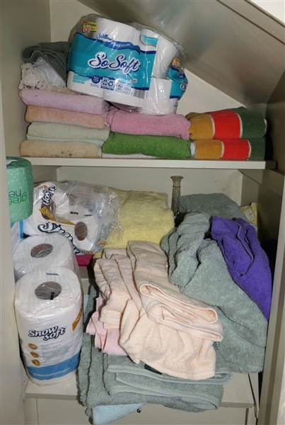 Contents of Bathroom Closet - Towels, Toilet Paper, Cleaners, 