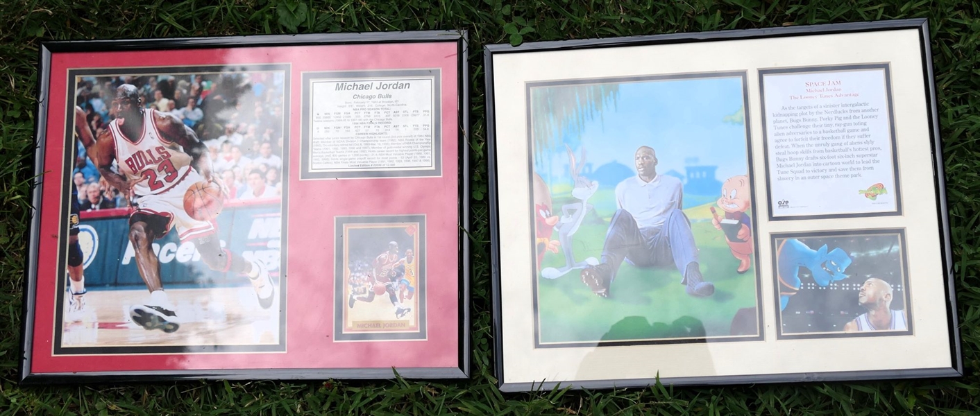 2 Framed Michael Jordan Cards/ Photos with information - Frames Measure 14" by 11"