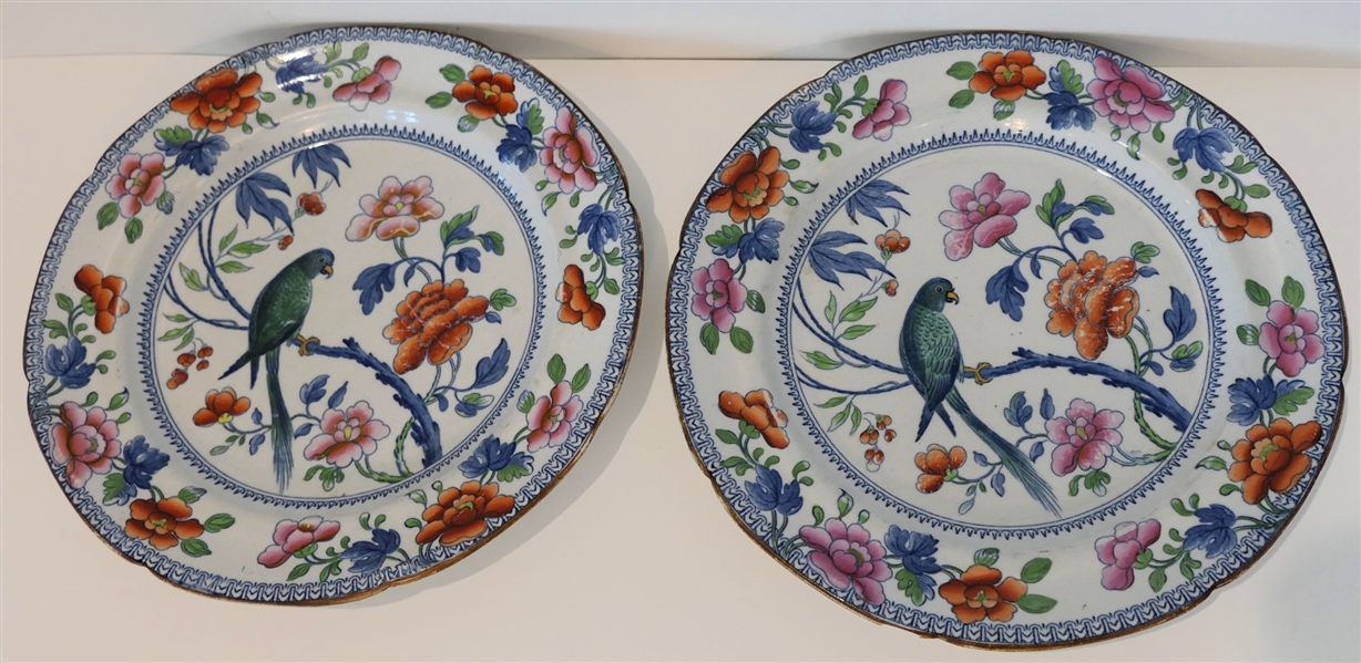 Pair of Antique Ironstone "Stone China" Plates with Bird and Flowers - Each Plate Measures 10" Across - One Has Hairline Other Has Chip