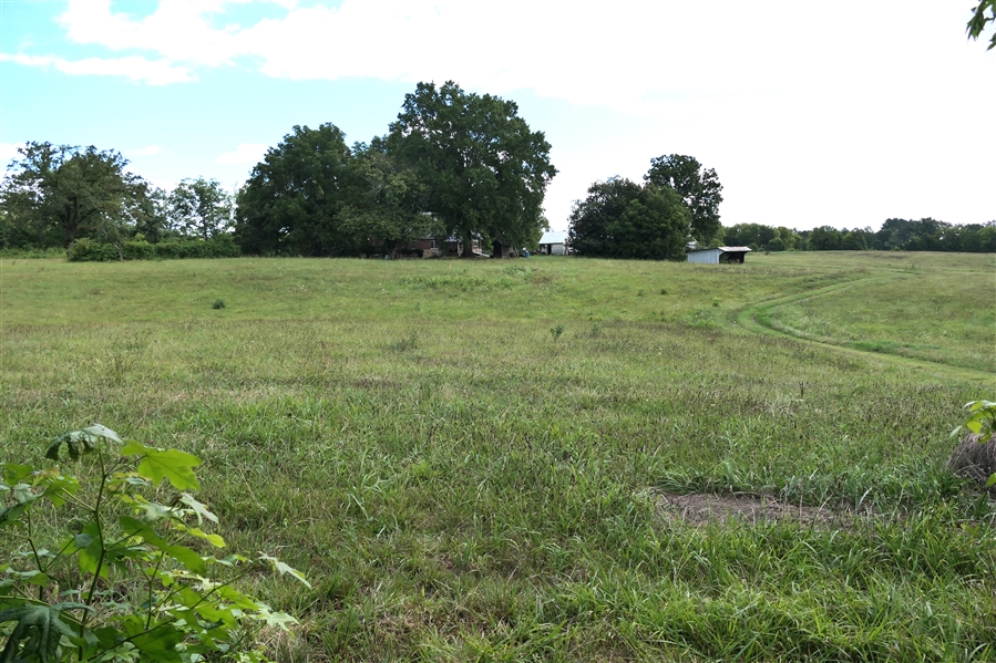 LIVE ONSITE - View of Field on 57.579 Acre Tract