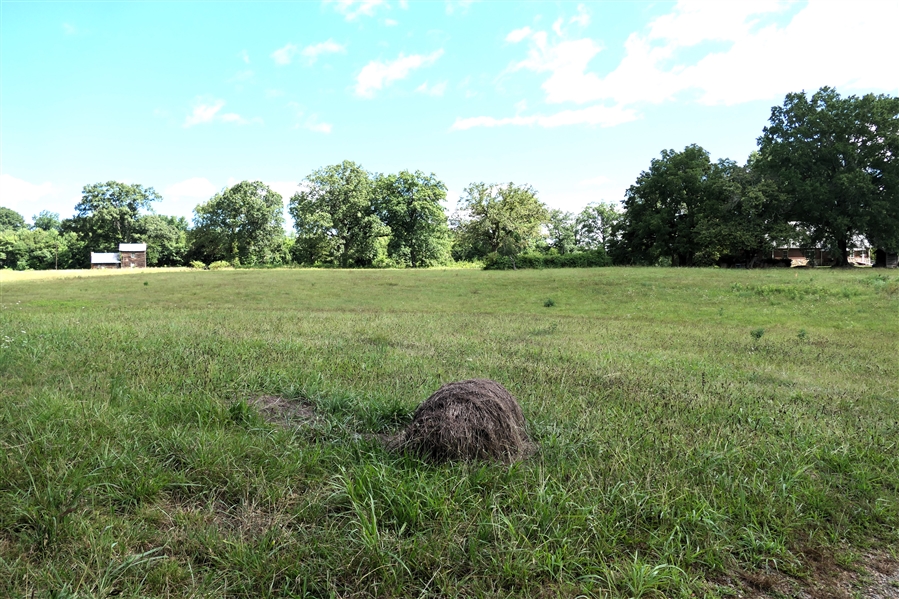 LIVE ONSITE - View of Field on 57.579 Acre Tract