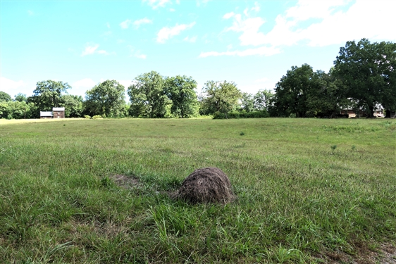 LIVE ONSITE - View of Field on 65 Acre Tract