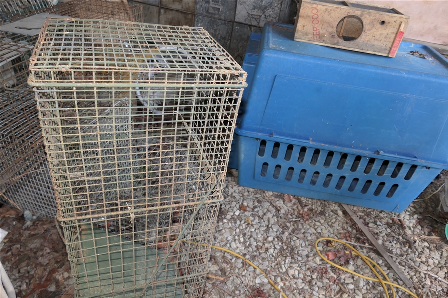 LIVE ONSITE - Animal Traps / Cages