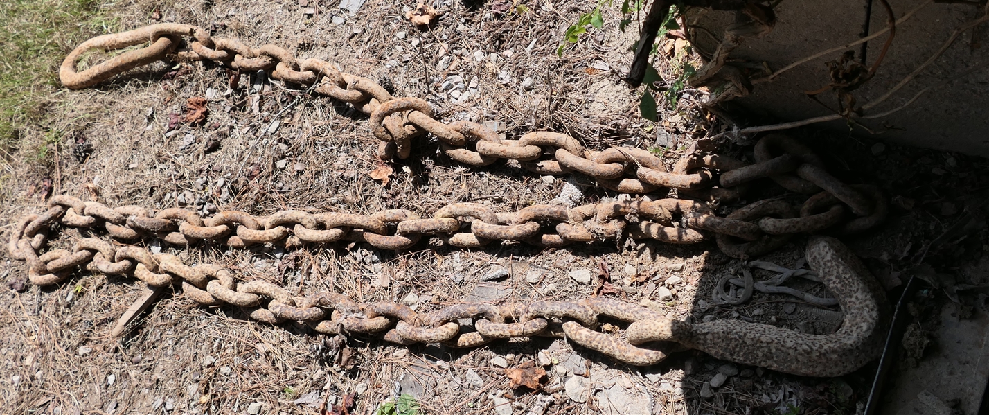 LIVE ONSITE - Chain with Hooks