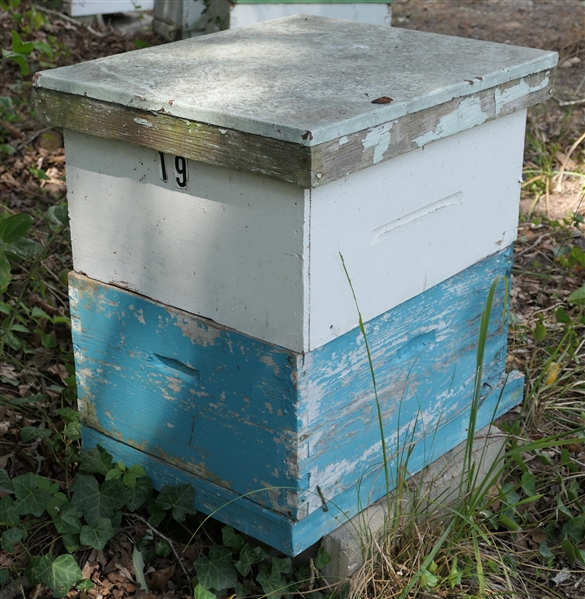 LIVE ONSITE - Bee Hives