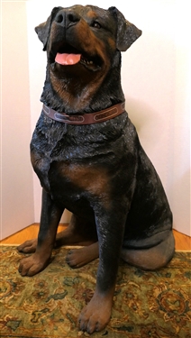 Life Size Sandicast Composite Rottweiler Statue - Measures 30" Tall