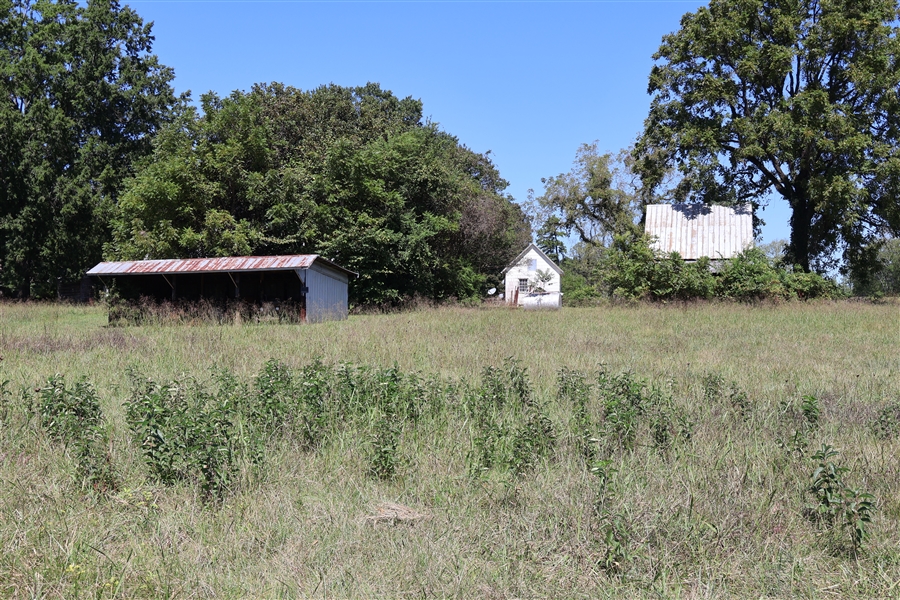 View of Land