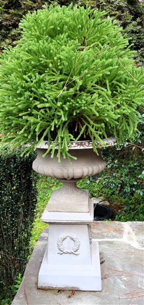 Nice Cast  Metal / Iron Planter - Planter is 2 Pieces - Urn and Pedestal - Measures 34" Tall (Not Including Plant) 24" Across