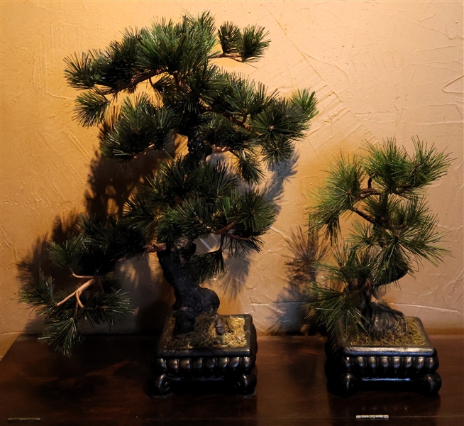 2 - Faux Bonsi Trees - Measuring 20" and 15" Tall 