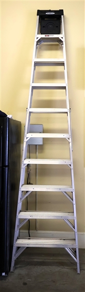 Werner 10 Ft. Aluminum Ladder