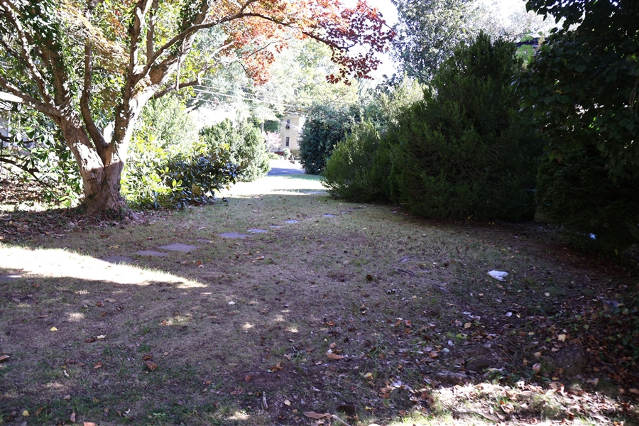 Yard with Mature Trees and Boxwoods