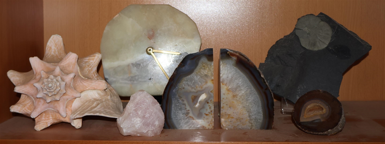 Collection of Rock, Fossil, and Shell Specimens - Book Ends, Clock, Agate, Quartz, and Large Shell - Clock Measures 8" Across, Fossil Rock Measures 8" Across