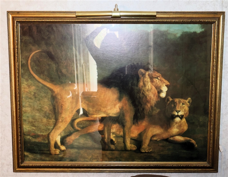 Lion and Lioness Print in Gold Frame with Art Light - Frame Measures 33" by 43"