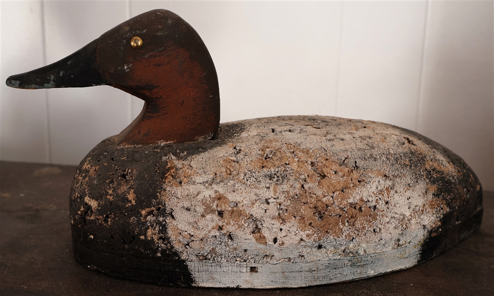 Hand Painted Cork Canvas Back Duck Decoy - Glass Eyes - Measures 7" Tall 15" Beak to Tail 