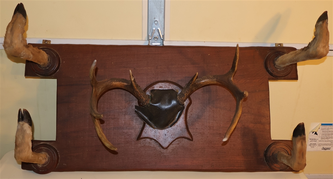 Antique Deer Antler Hat Rack - Measures 36" by 16"