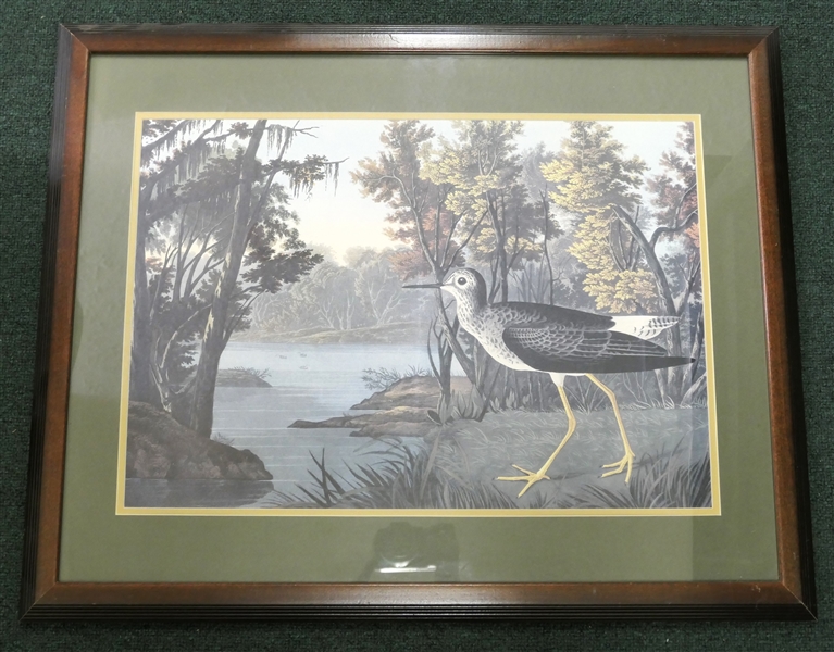 Nicely Framed and Matted Bird Botanical Print -  Double Matted - Frame Measures 24 1/2" by 31"