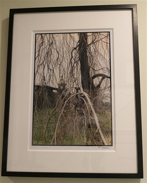 G. Weil Artist Signed Framed and Matted Photograph of Bare Tree - Frame Measures 19 1/4" by 15"