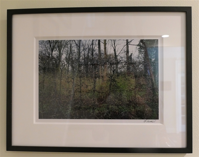 Artist Signed G. Weil Original Photograph of Bare Vines - Framed and Matted - Frame Measures 14 1/2" by 18 1/2" 