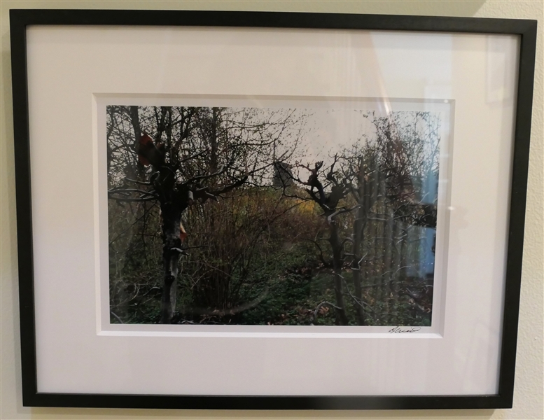 Artist Signed G. Weil Original Photograph of Bare Vines - Framed and Matted - Frame Measures 14 1/2" by 18 1/2" 