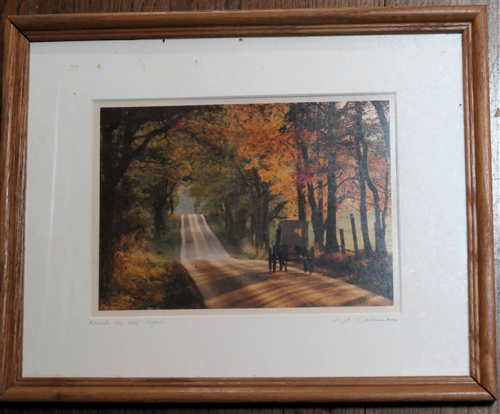 Amish NO. 690 - Photograph by Bill Coleman - Artist Pencil Signed and Numbered 139/850 - Framed and Matted - Frame Measures 12" by 15"